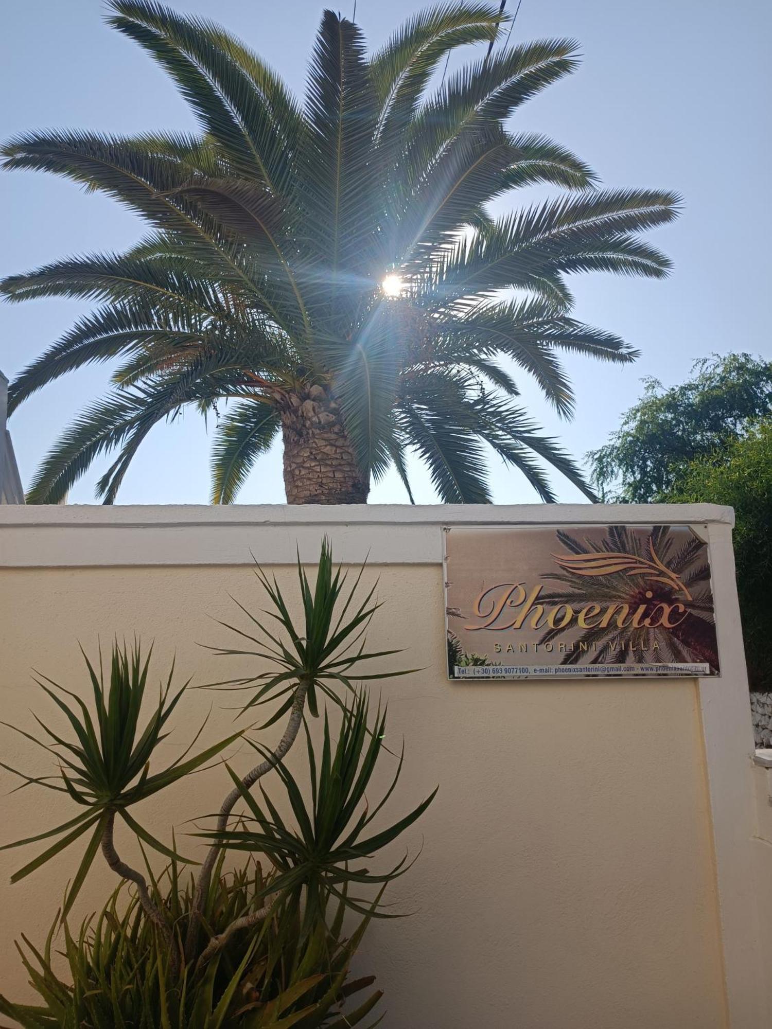 Phoenix Fira  Exterior photo
