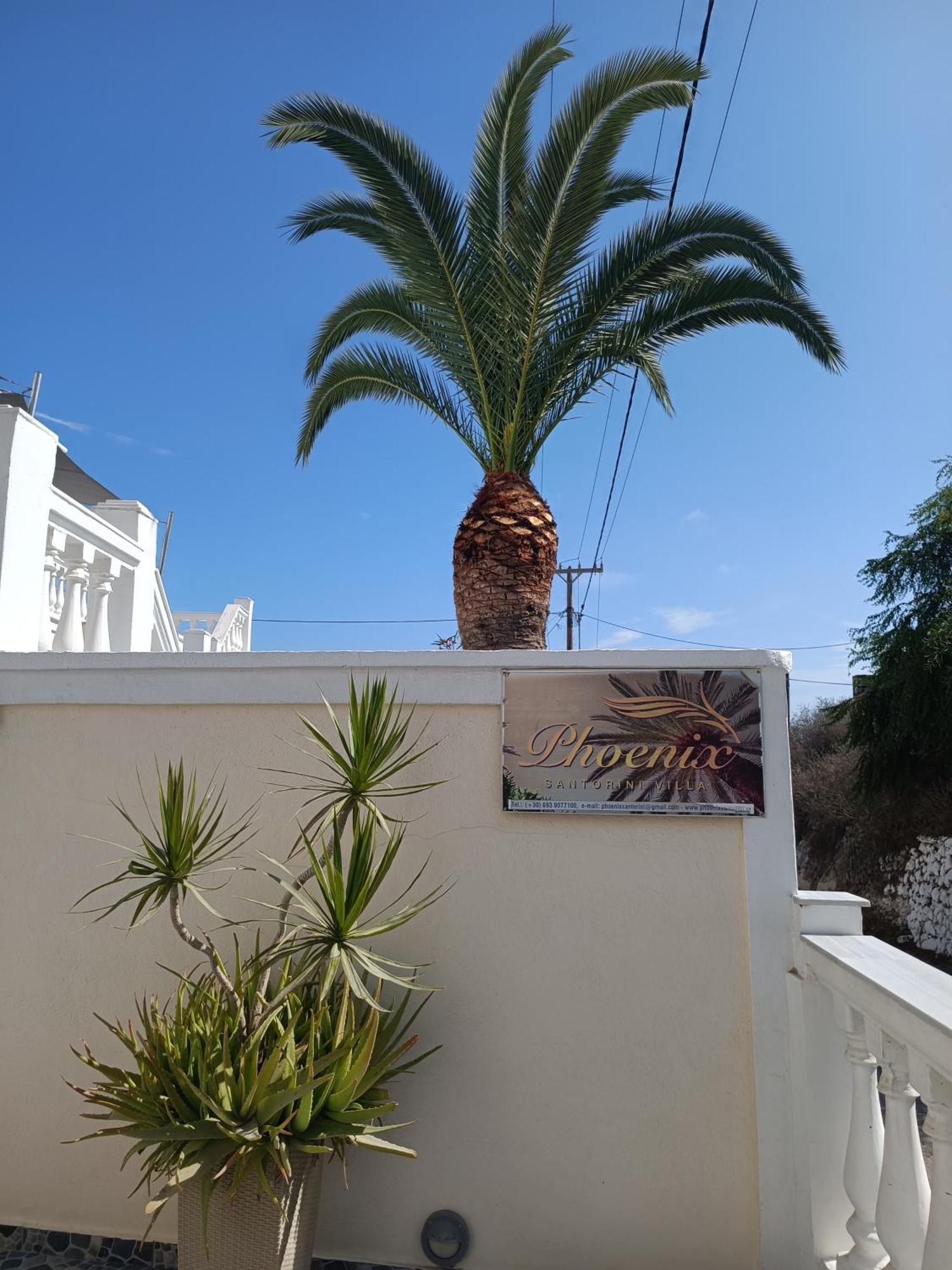 Phoenix Fira  Exterior photo